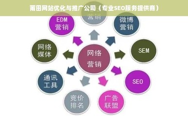 莆田网站优化与推广公司(专业SEO服务提供商)
