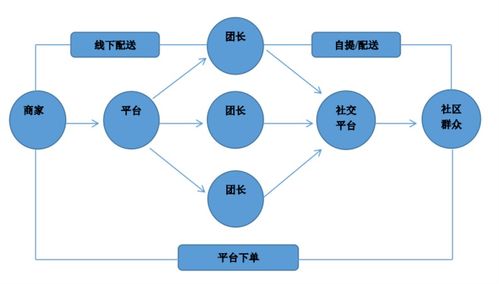 知行合一 寒假社会实践进行时 十