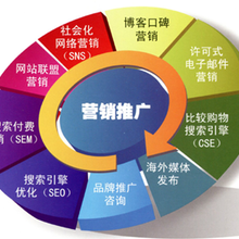 山东蓝科云信息